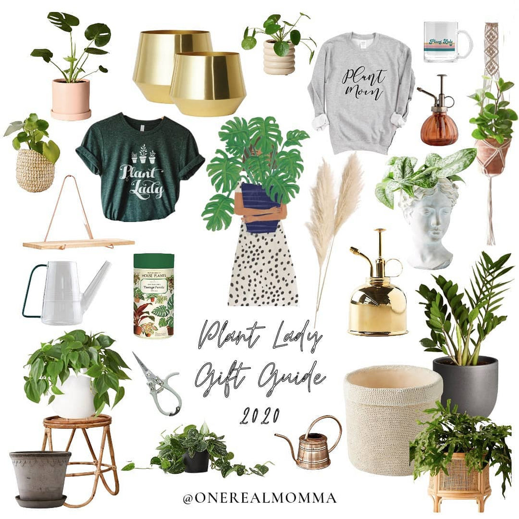 Plant Lady Gift Guide 2020