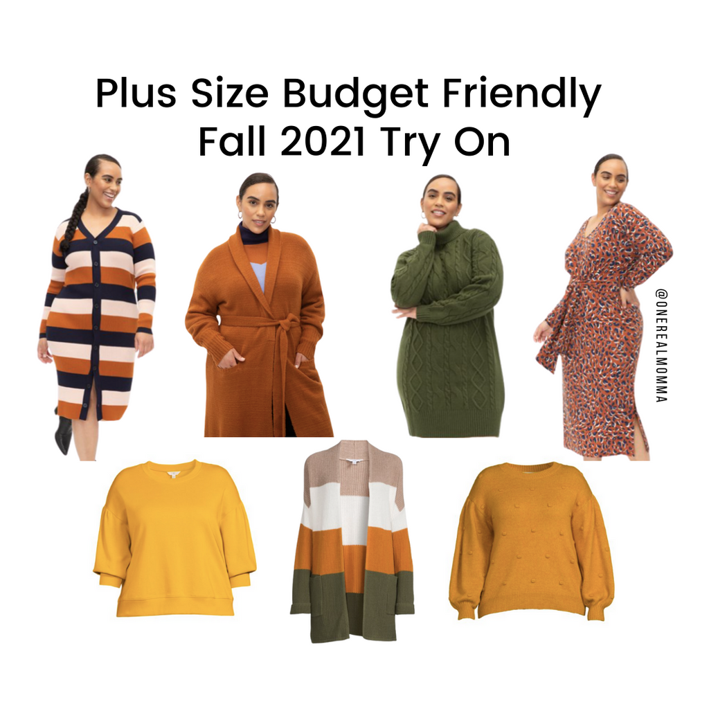 Plus Size Budget Friendly Fall 2021 Try-On